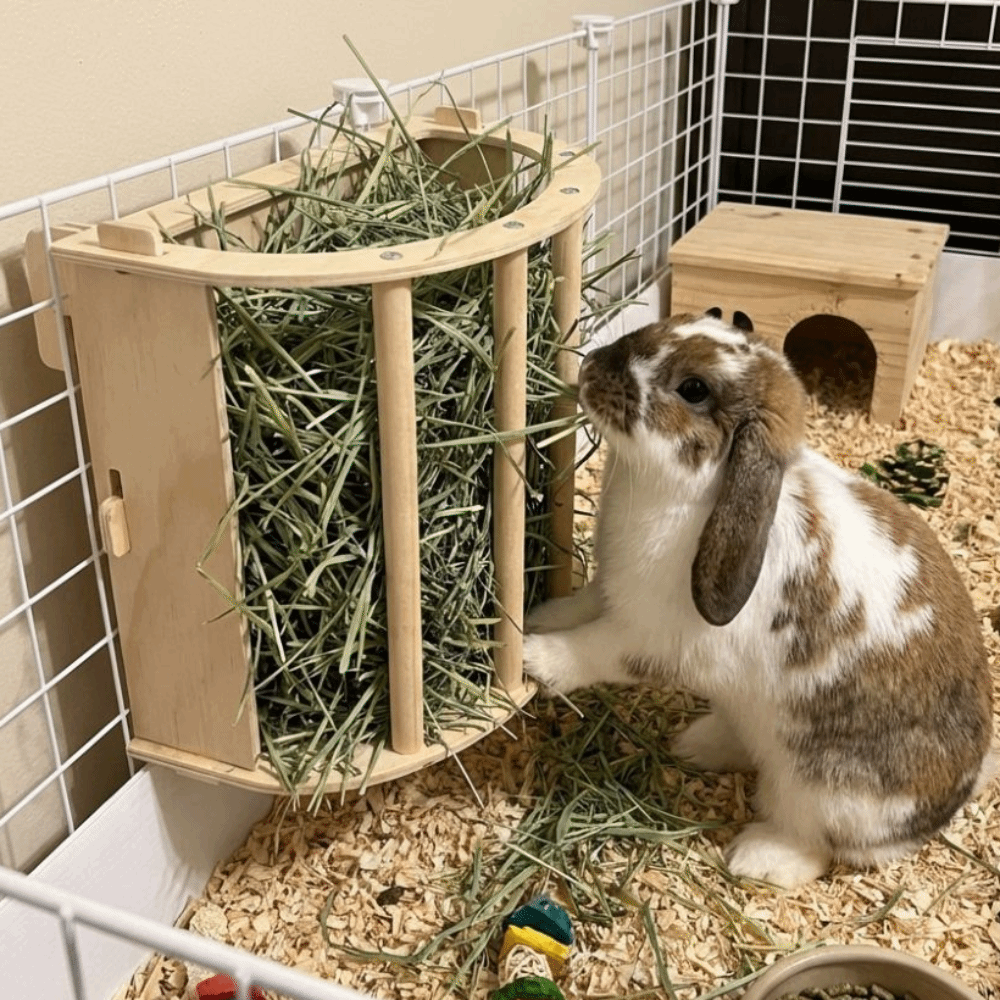 Practical Wooden Bunny Hay Fee - Woodworking Rabbet 리뷰 및 가격