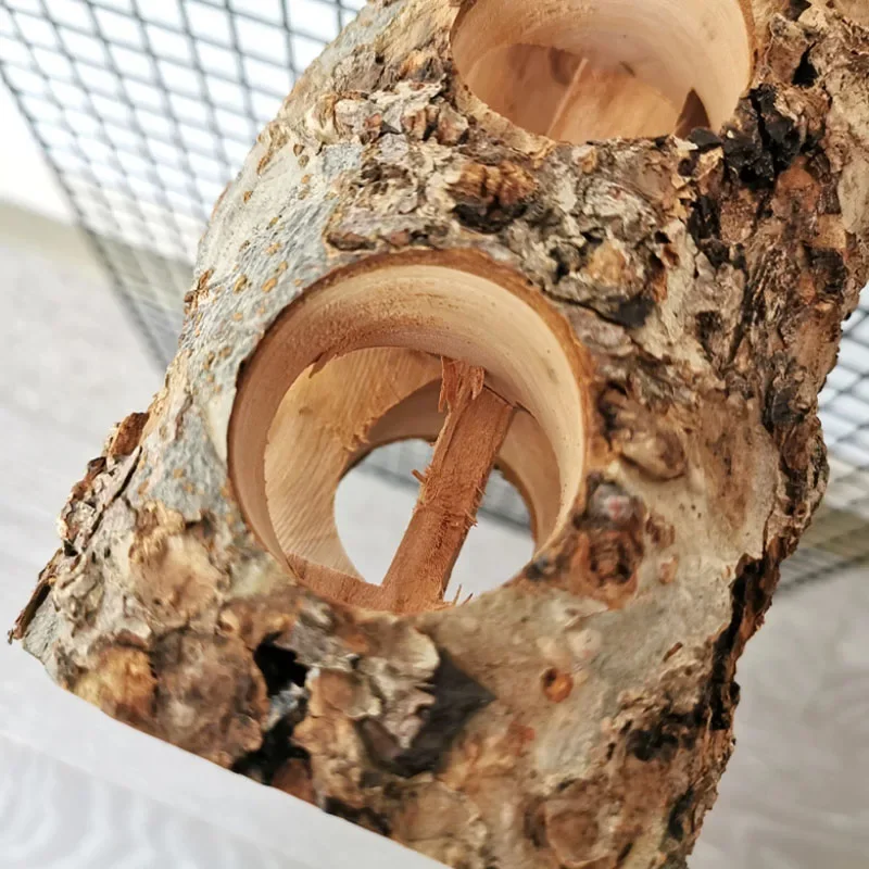 Pet Hamster Toy Natural Apple  - Woodworking Rabbet 리뷰 및 가격