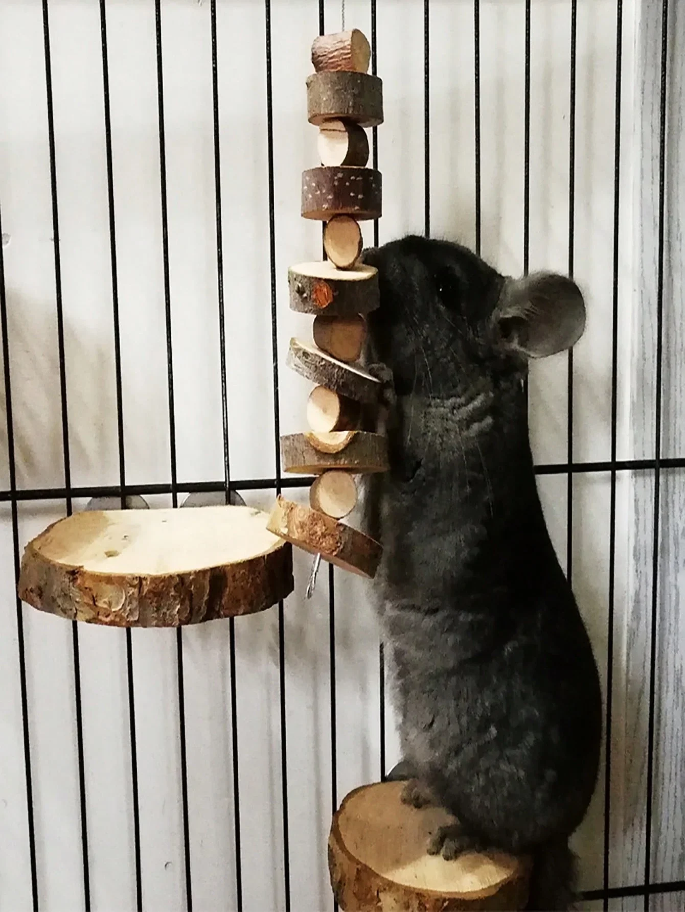 Hamster Rabbit Chew Toy Natura - Woodworking Rabbet 리뷰 및 가격