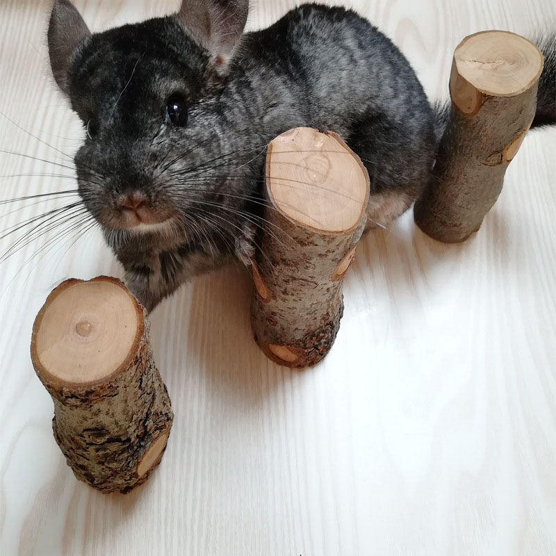 Pet Hamster Toy Natural Apple  - Woodworking Rabbet 리뷰 및 가격