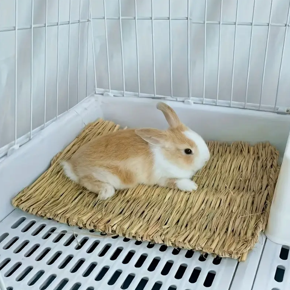 Natural grass woven rabbit gra - Woodworking Rabbet 리뷰 및 가격