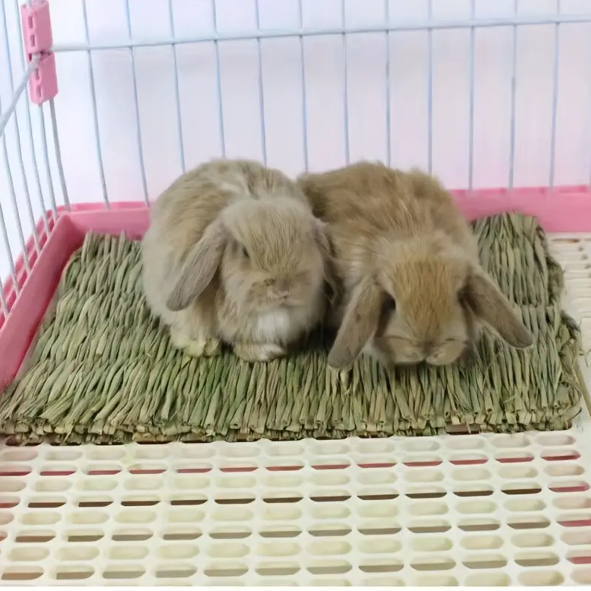 Natural grass woven rabbit gra - Woodworking Rabbet 리뷰 및 가격