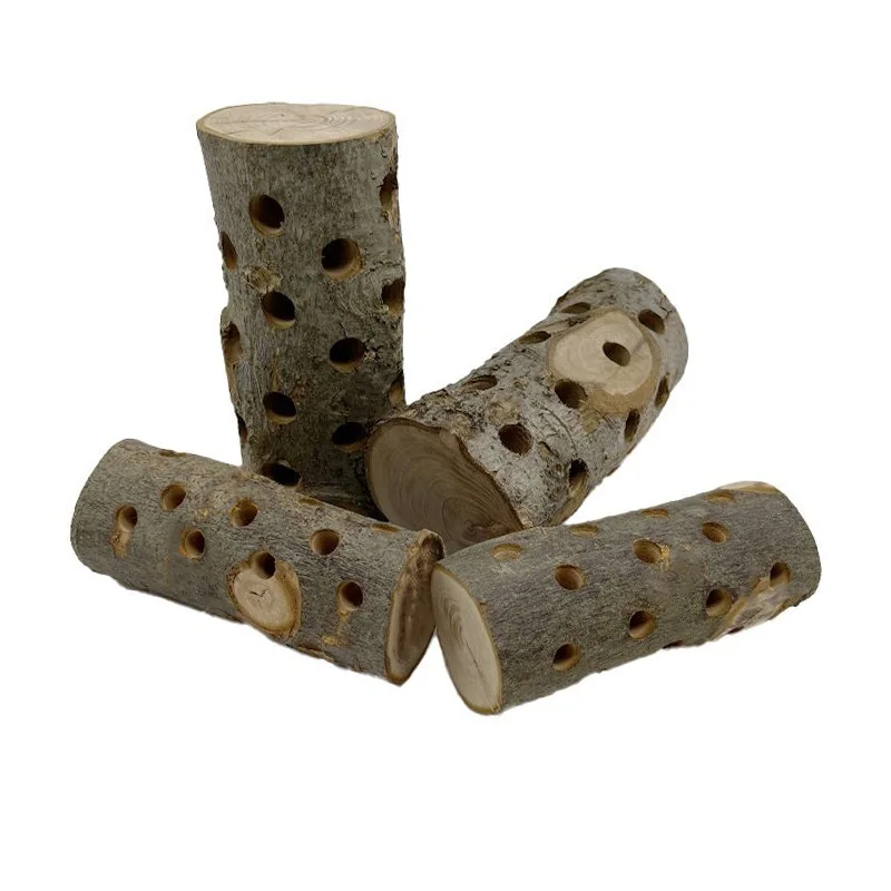 Small Animal Chew Toy Natural  - Woodworking Rabbet 리뷰 및 가격