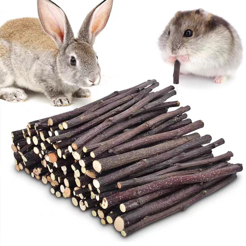 20/40/80/100pcs Hamster Rabbit - Woodworking Rabbet 리뷰 및 가격