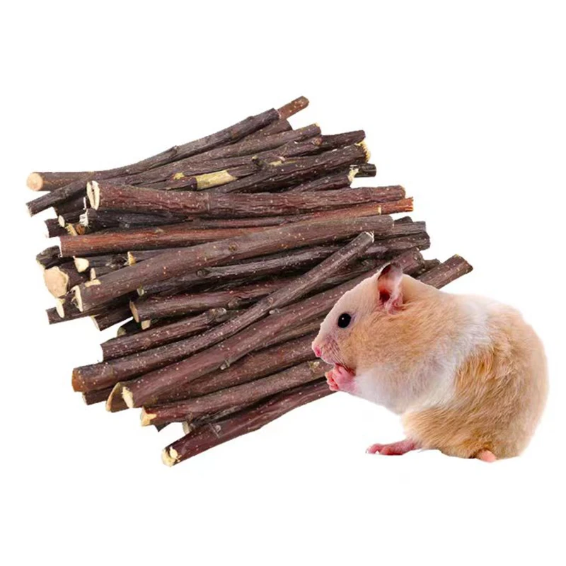 20/40/80/100pcs Hamster Rabbit - Woodworking Rabbet 리뷰 및 가격