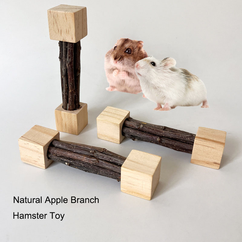 Pet Hamster Toy Natural Apple  - Woodworking Rabbet 리뷰 및 가격