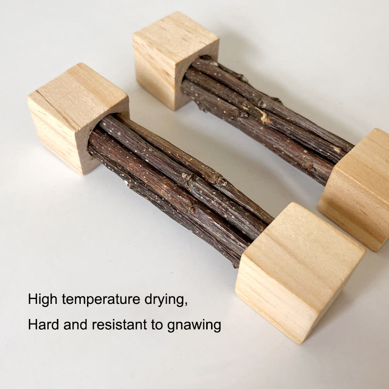 Pet Hamster Toy Natural Apple  - Woodworking Rabbet 리뷰 및 가격