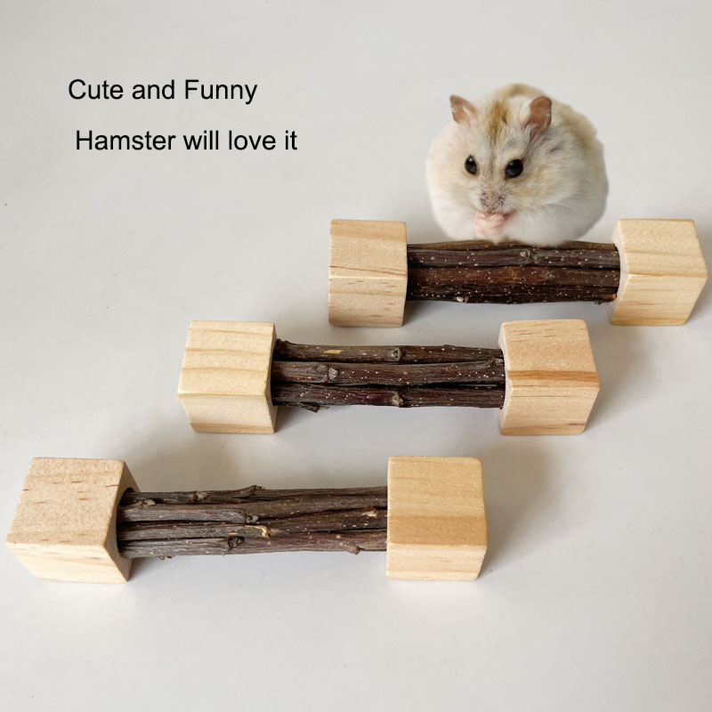 Pet Hamster Toy Natural Apple  - Woodworking Rabbet 리뷰 및 가격